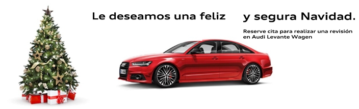 Antes de viajar estas navidades, asegúrese de tener su coche preparado