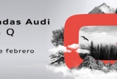 VENTAS PRIVADAS AUDI GAMA Q hasta el 29 de Febrero.